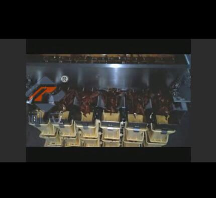 鱼仔（麻辣）称重包装机